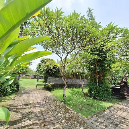 Casa Mesari Apartment