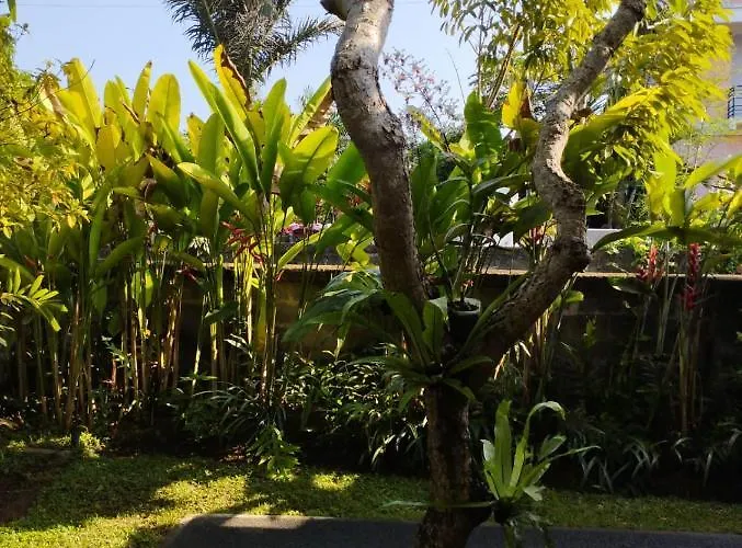 Séjour chez l'habitant Casa Mesari