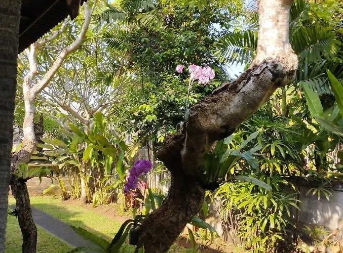 Casa Mesari * Sukawati