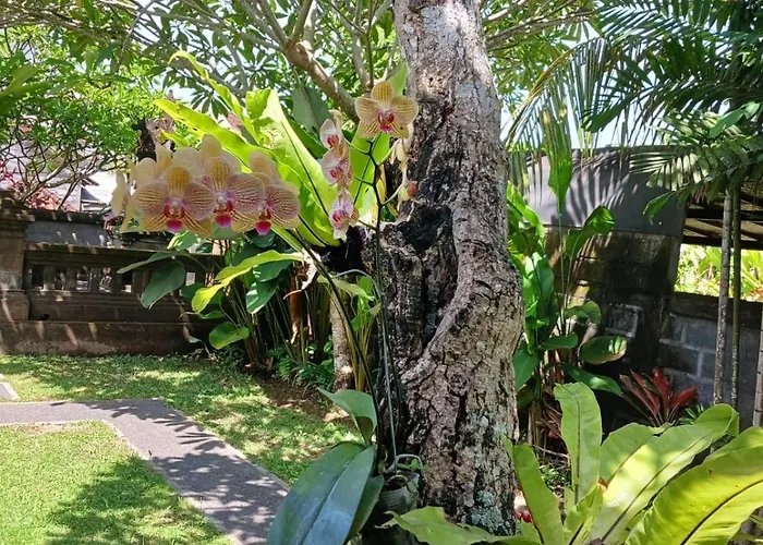 Casa Mesari Séjour chez l'habitant Sukawati